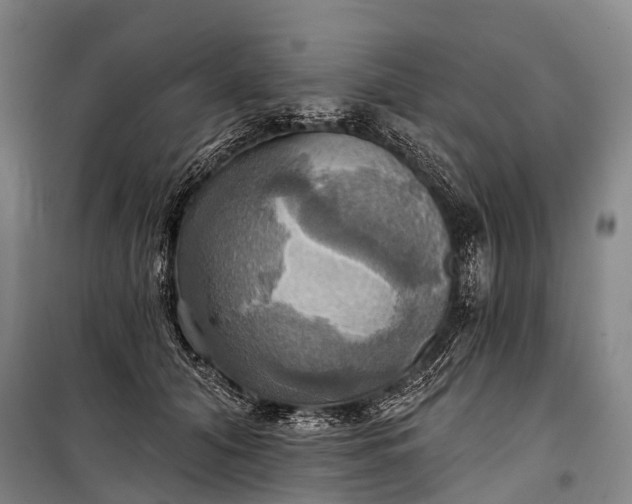 X0000101160608200807111030