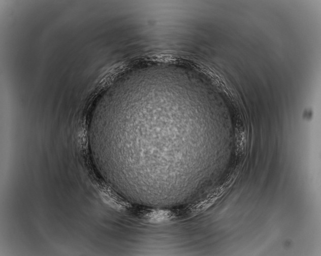 X0000101160609200807111030