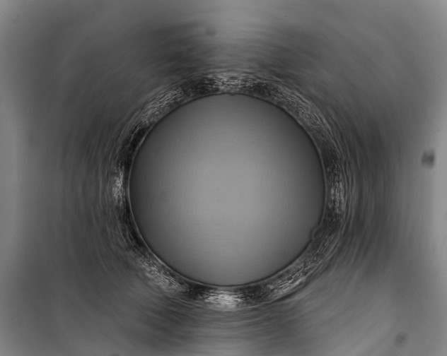 X0000101160610200807111030