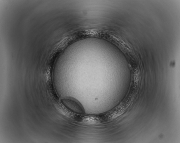 X0000101160611200807111030