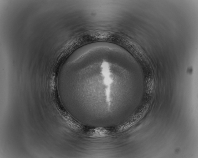 X0000101160612200807111030