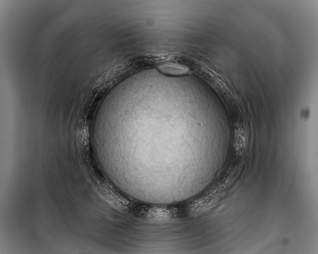 X0000101160613200807111030