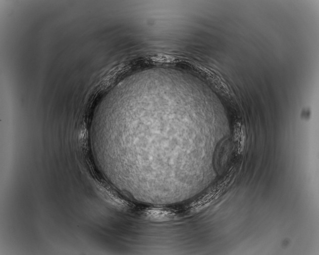 X0000101160614200807111030