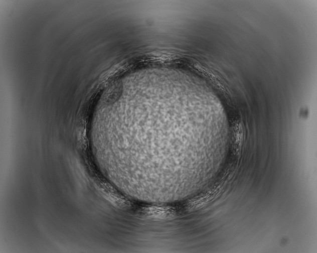 X0000101160615200807111030