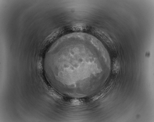 X0000101160616200807111030