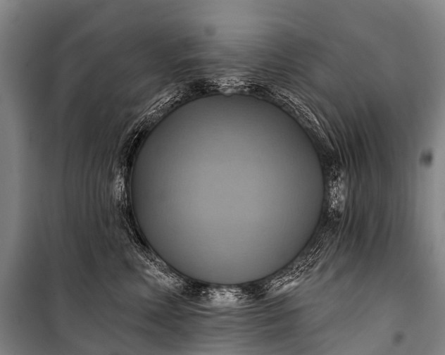 X0000101160618200807111030