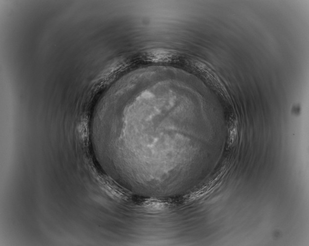 X0000101160620200807111030