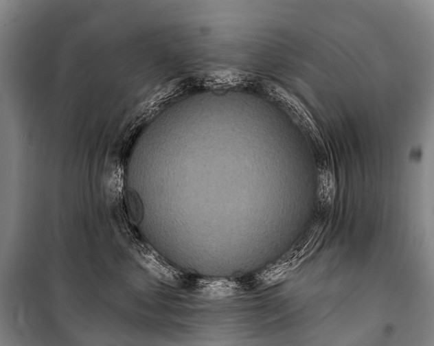 X0000101160621200807111030