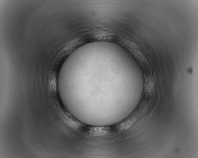 X0000101160622200807111030