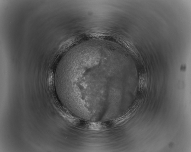 X0000101160623200807111030