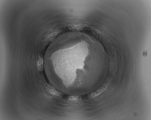 X0000101160624200807111030