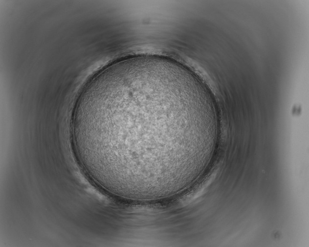 X0000101160625200807111029