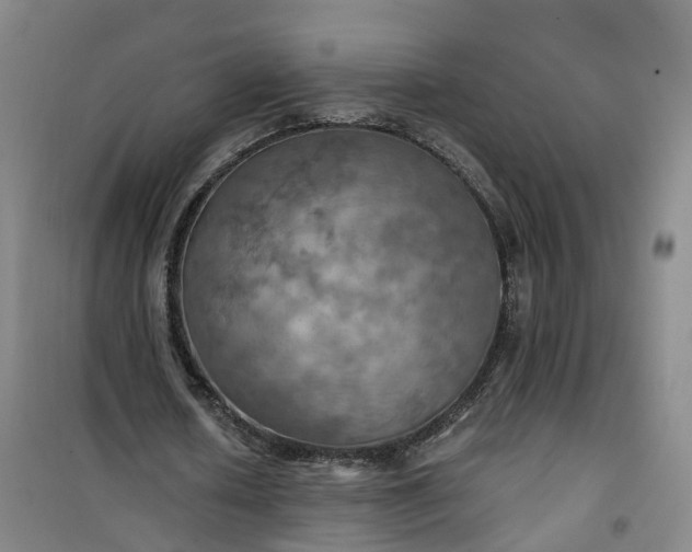 X0000101160626200807111029