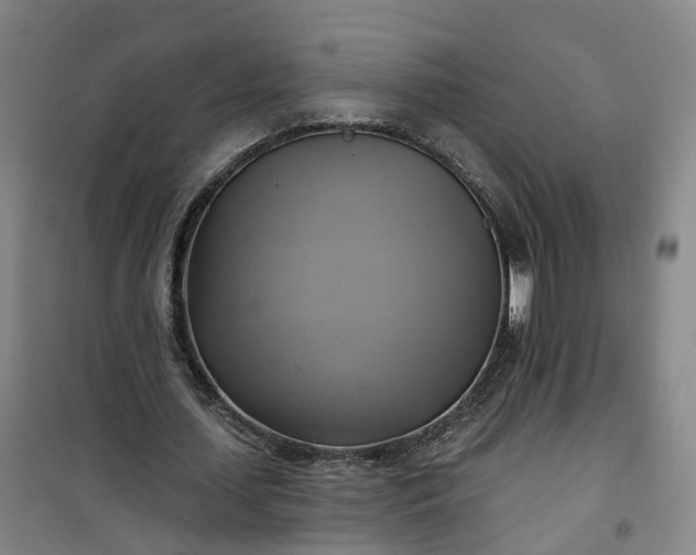 X0000101160627200807111029