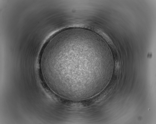 X0000101160628200807111029