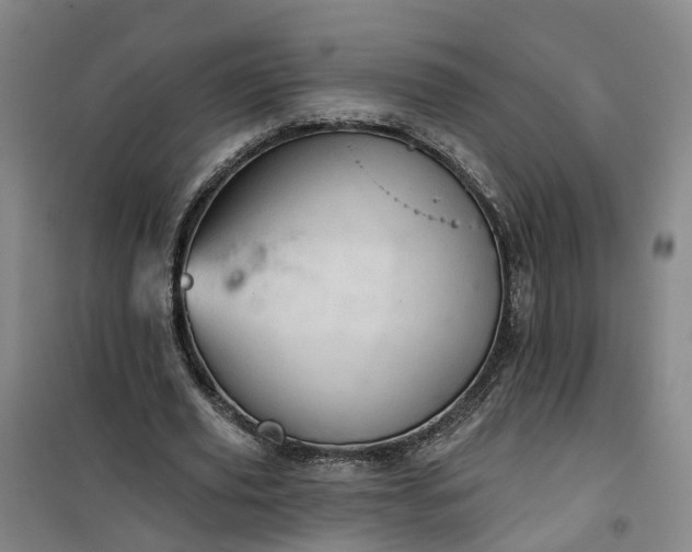 X0000101160629200807111029