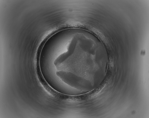 X0000101160630200807111029