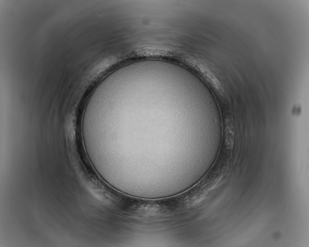 X0000101160631200807111029