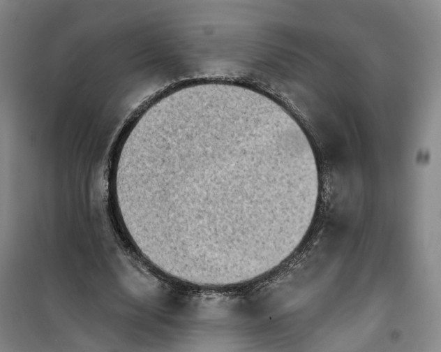 X0000101160632200807111029