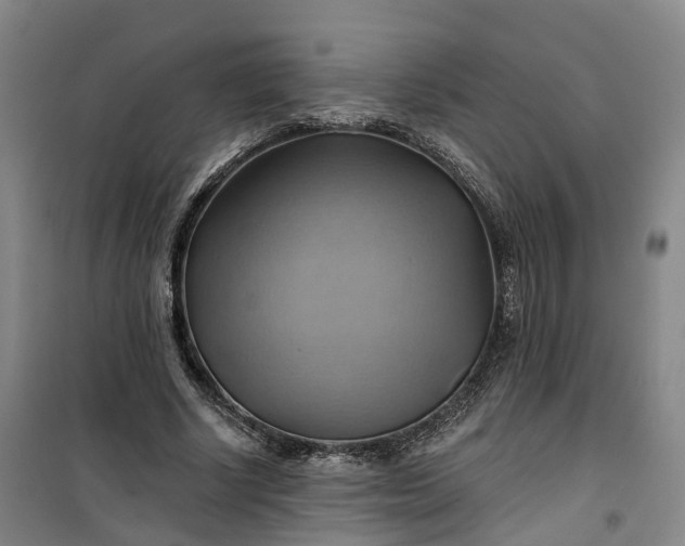 X0000101160634200807111029