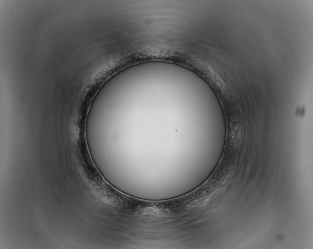 X0000101160635200807111029