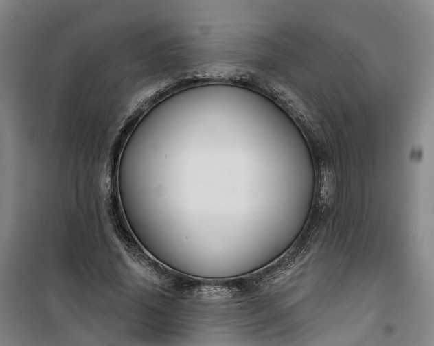 X0000101160636200807111029