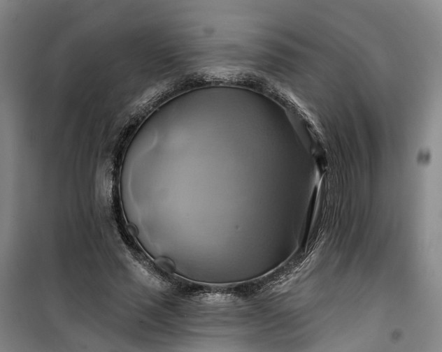 X0000101160637200807111029