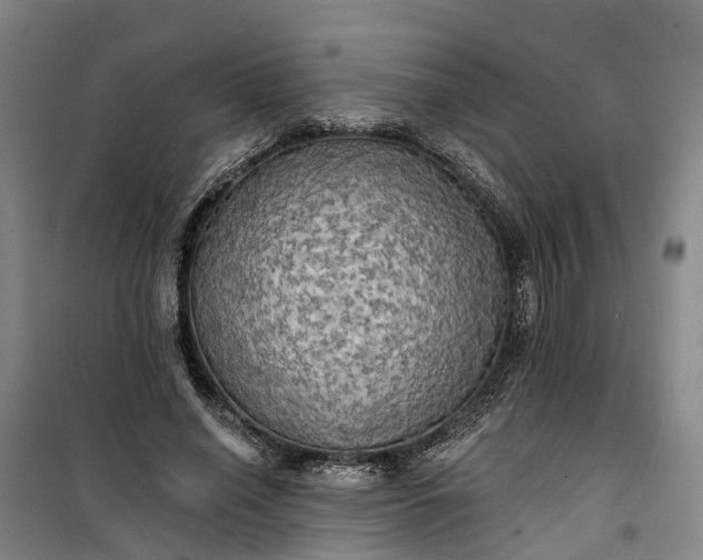 X0000101160638200807111029