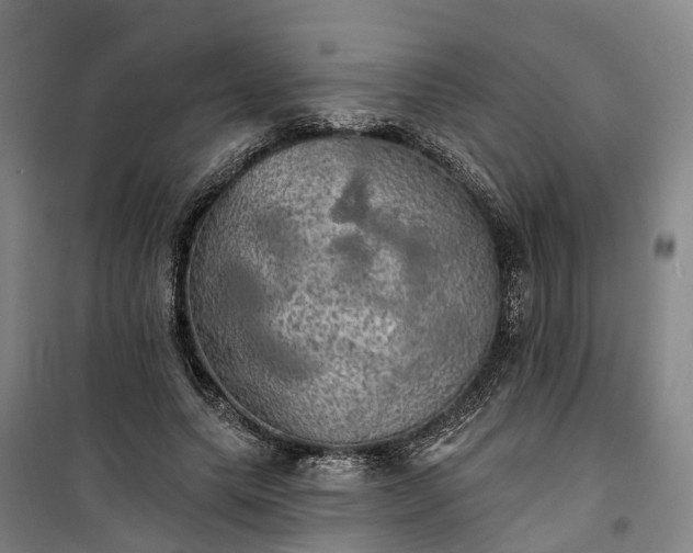 X0000101160639200807111029