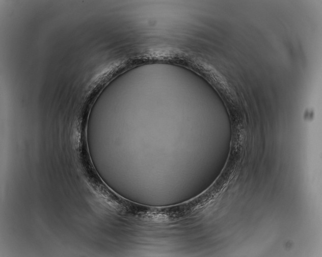 X0000101160640200807111029