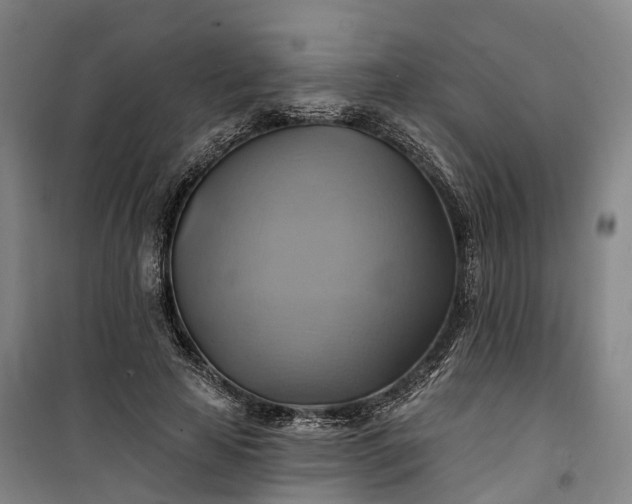 X0000101160641200807111029