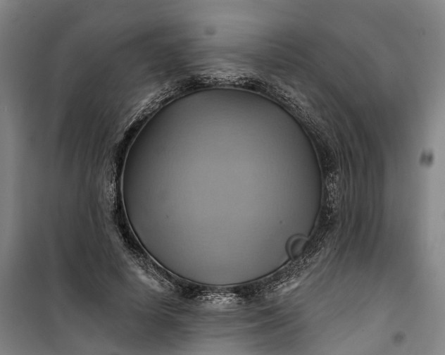 X0000101160642200807111029