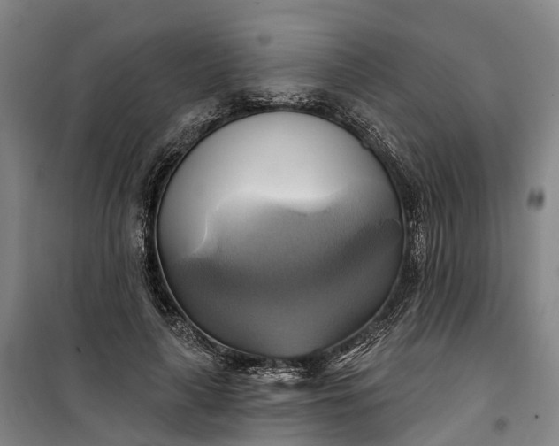 X0000101160643200807111029