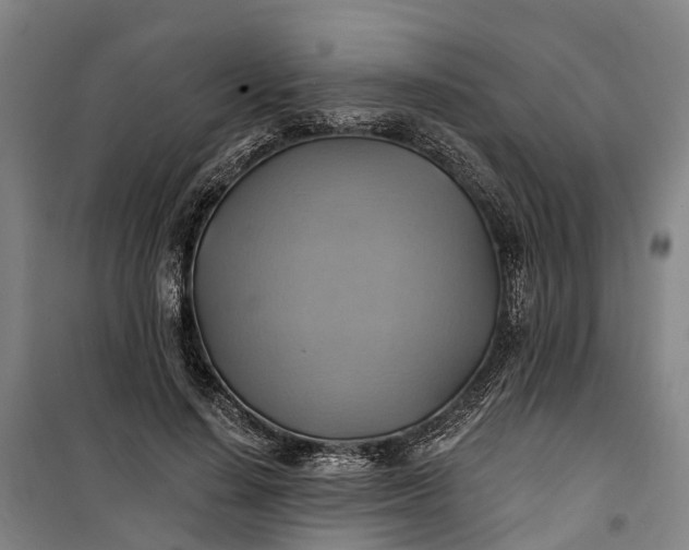 X0000101160644200807111029