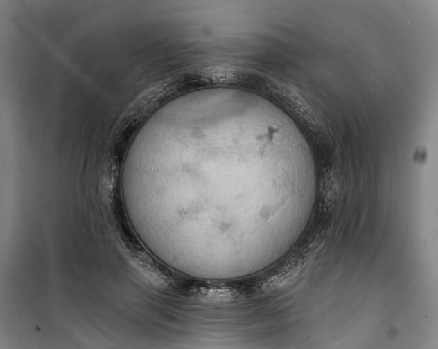 X0000101160645200807111029