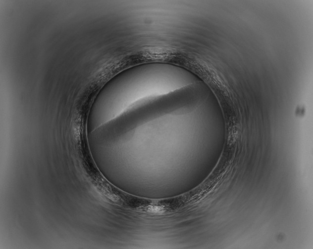 X0000101160647200807111029