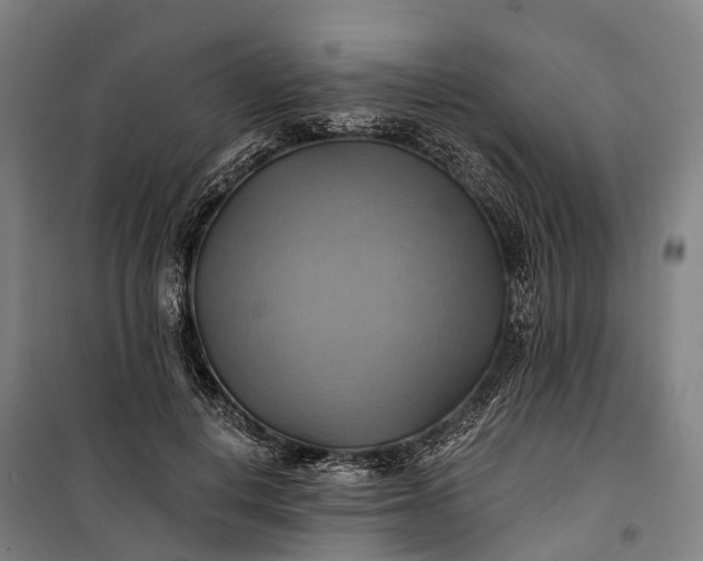 X0000101160648200807111029