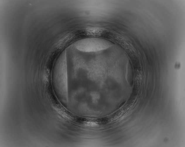 X0000101160649200807111029