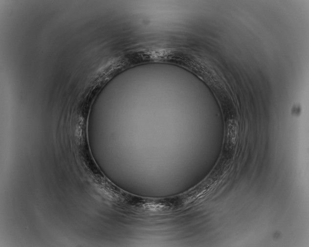 X0000101160650200807111030