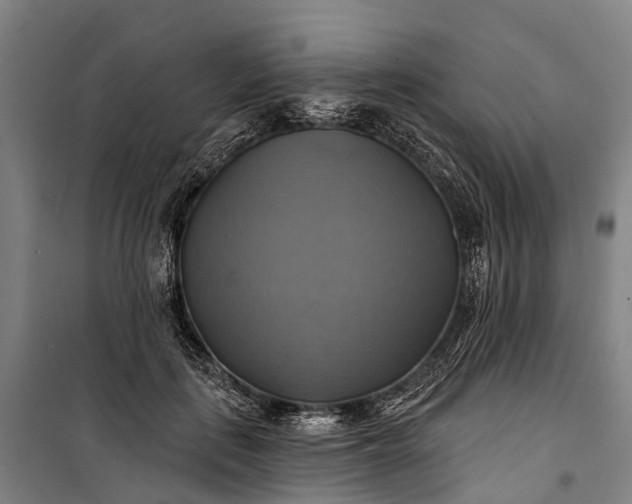 X0000101160651200807111030