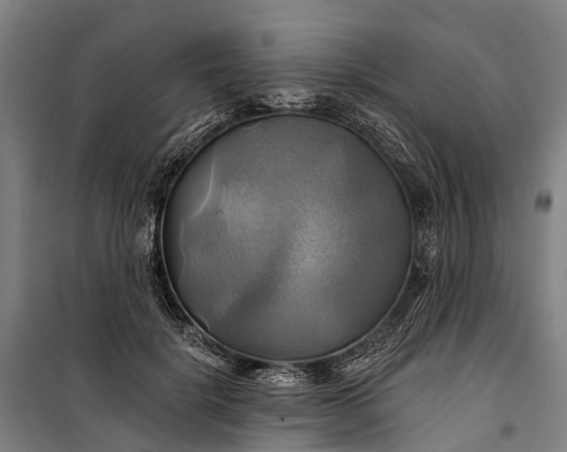 X0000101160652200807111030