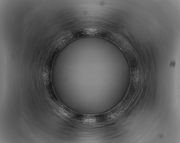 X0000101160653200807111030