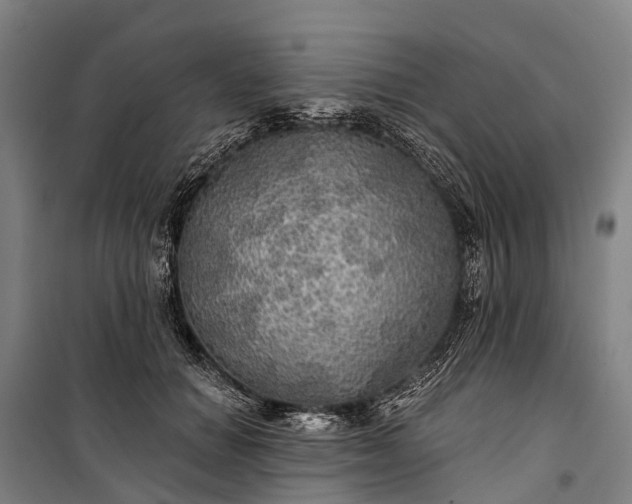 X0000101160654200807111030