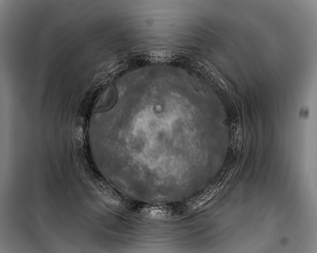 X0000101160655200807111030