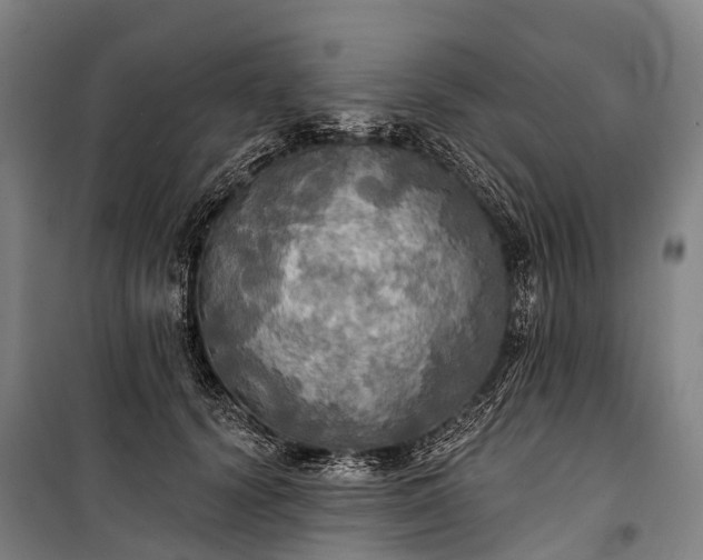 X0000101160656200807111030