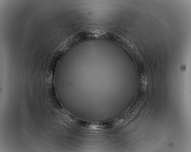 X0000101160657200807111030