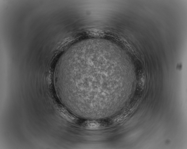 X0000101160658200807111030