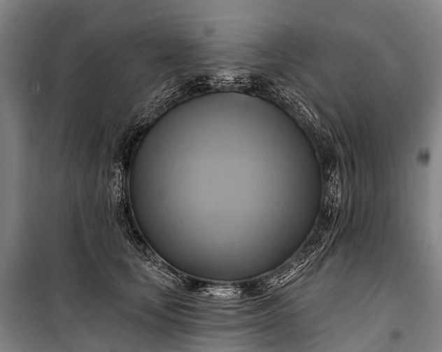 X0000101160659200807111030