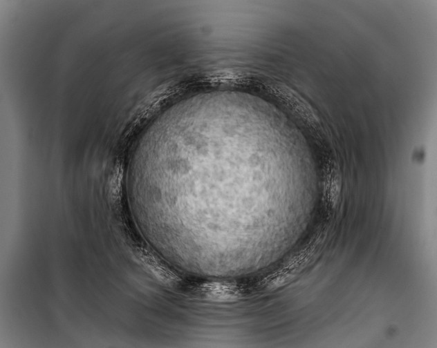 X0000101160660200807111030