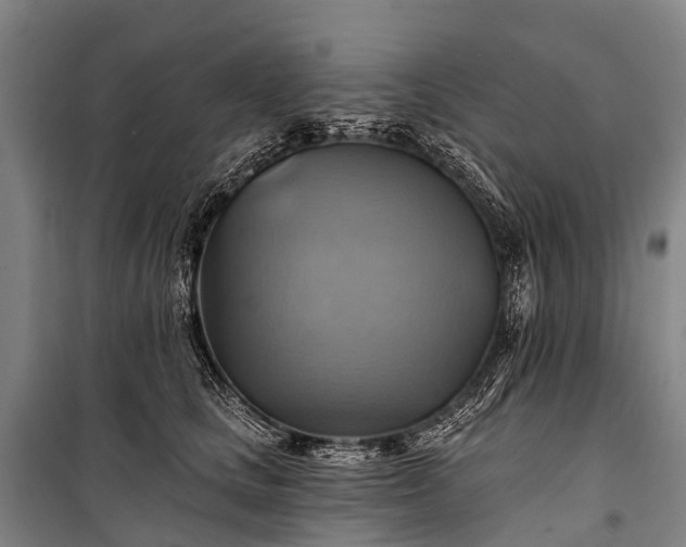 X0000101160661200807111030